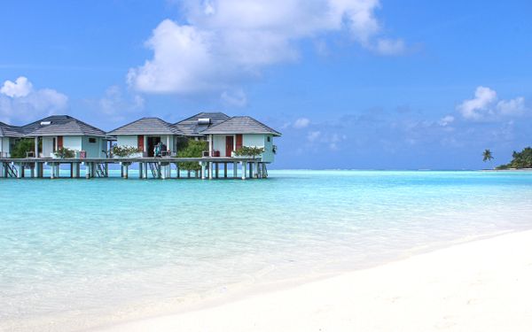Maldive: Atollo di Ari Sud