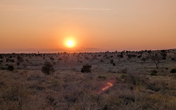 Kenya: safari e mare